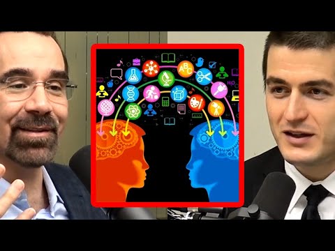 AI如何理解世界：Ferrucci谈“共享知识框架”的真正挑战