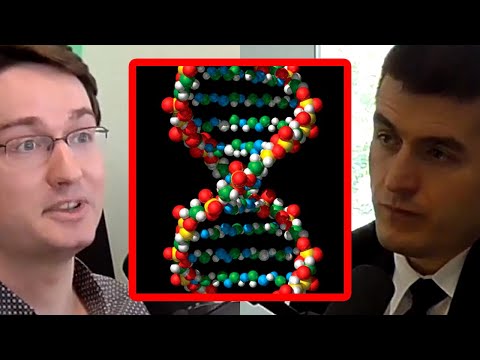 为什么科学进步不会指数爆炸：Chollet的反直觉判断