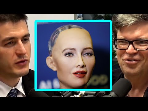 Yann LeCun：AI不需要“身体”，但必须真正理解世界