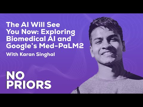 从假新闻检测到Med-PaLM 2：Karan Singhal谈医疗大模型的责任边界