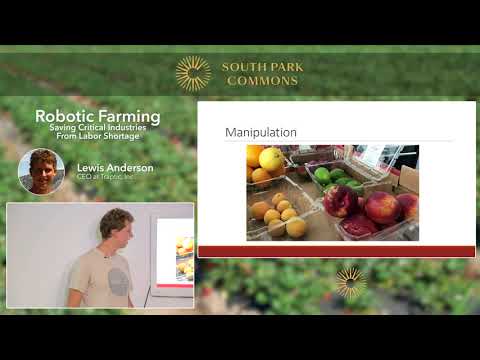 当草莓遇上机器人：一场被劳动力危机逼出来的农业革命