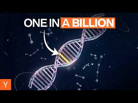 从半个实验台到40亿美元：他们把癌症检测变成数学题